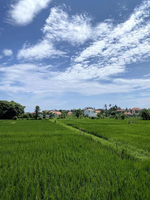 Villa Vespa Lovina Dış mekan fotoğraf